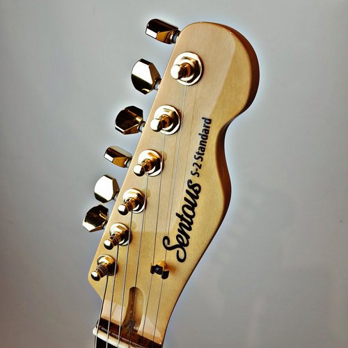 Sentous S-2 Standard Black Goldie