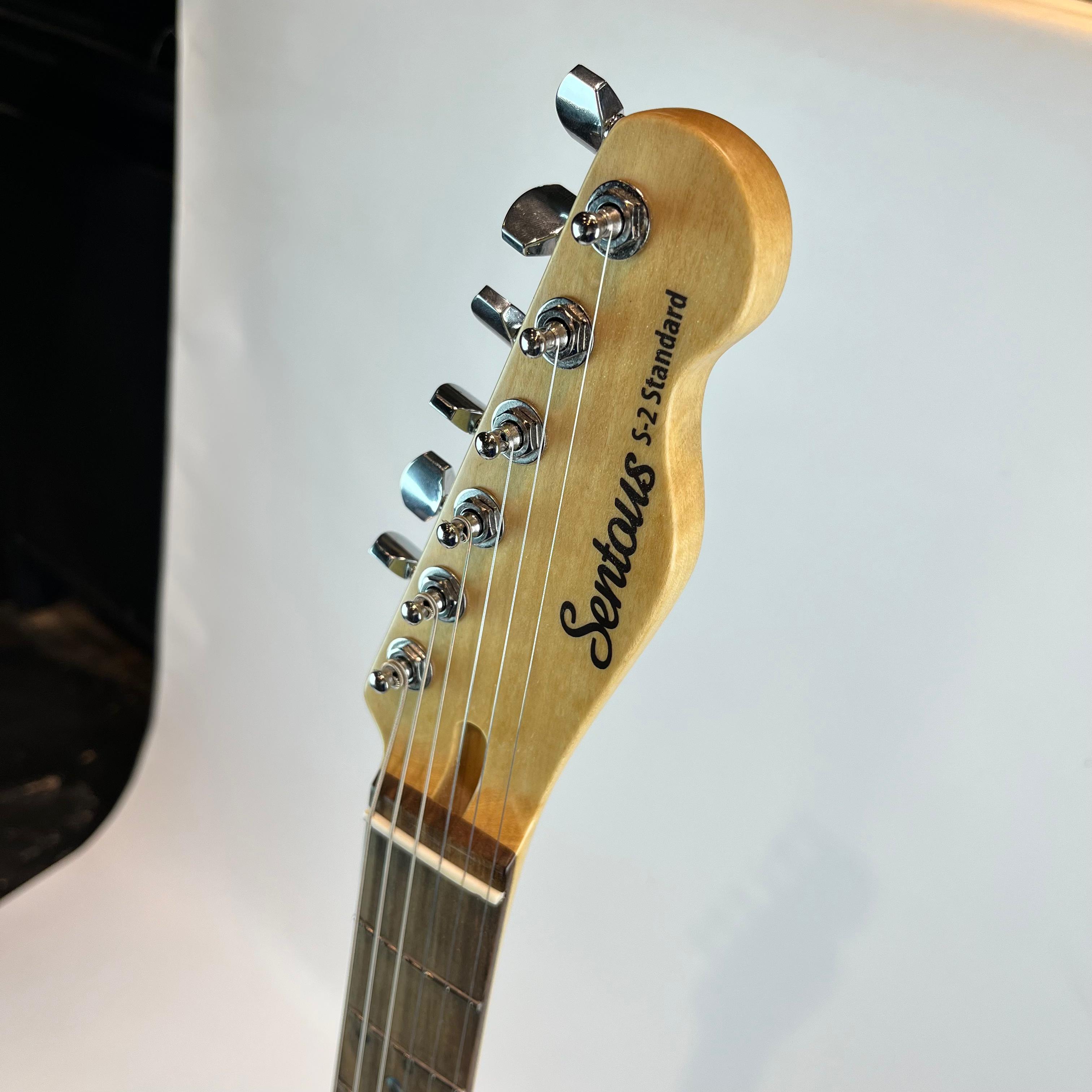 Electric Guitars