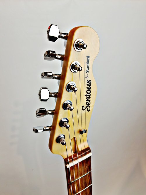 Sentous Guitars